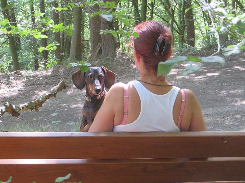 Hier steht ein Foto mit dem Titel: Abenteuer Steinerberg: Verschnaufpause für Frau und Hund beim strammen Anstieg zum Steinerberg (Foto: Hans-Joachim Schneider)