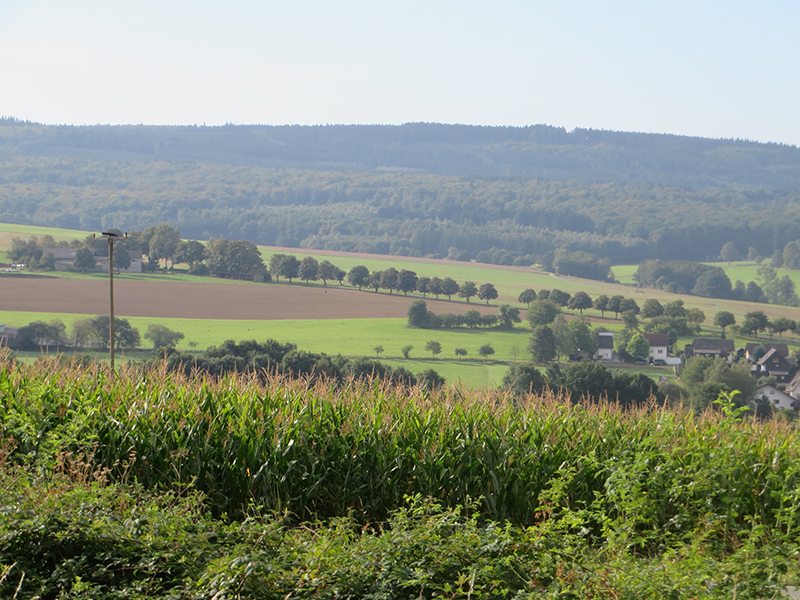 Hier steht ein Foto mit dem Titel: Haltepunkt Hattert: Bei soviel Landschaft ist der Haltepunkt leicht zu übersehen (Foto: Hans-Joachim Schneider)