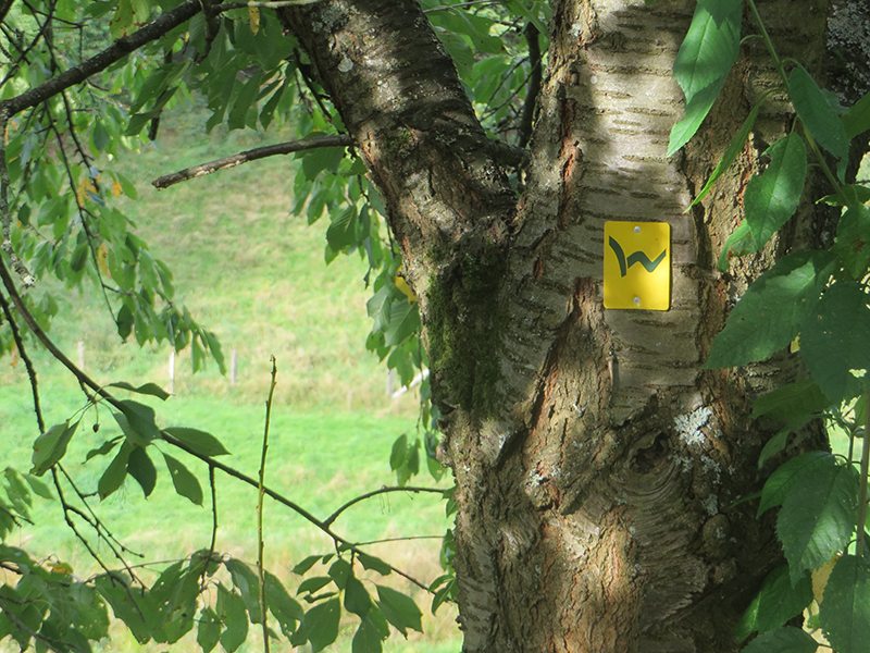 Hier steht ein Bild mit dem Titel: So sieht nämlich der Zuweg aus (Foto: Hans-Joachim Schneider)