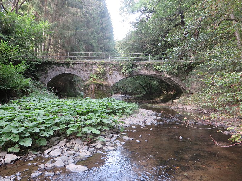 Hier steht ein Bild mit dem Titel: Die fette Brücke am Westerwaldsteig – die hat's mir angetan (Foto: Hans-Joachim Schneider)