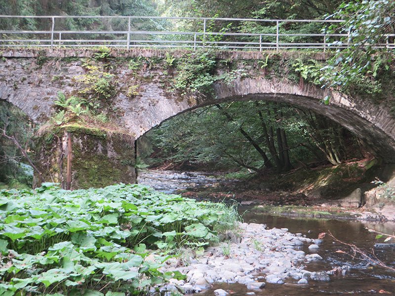 Hier steht ein Bild mit dem Titel: Die Brücke mit dem Durchblick, dahinter fängt ne neue Welt an (Foto: Hans-Joachim Schneider)