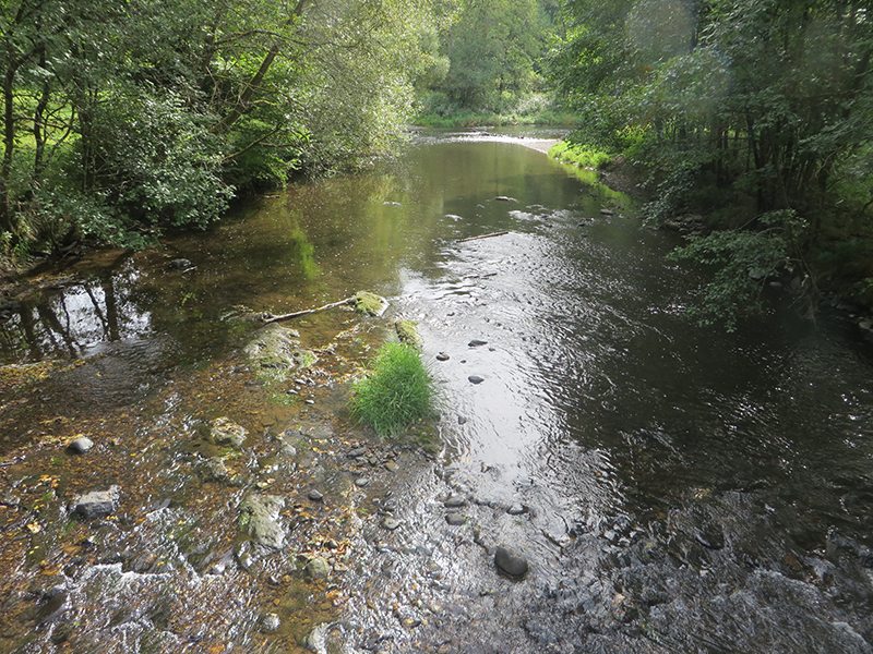 Hier steht ein Bild mit dem Titel: Wildwasserrafting am Westerwaldsteig, meine neueste Marketingidee (Foto: Hans-Joachim Schneider)