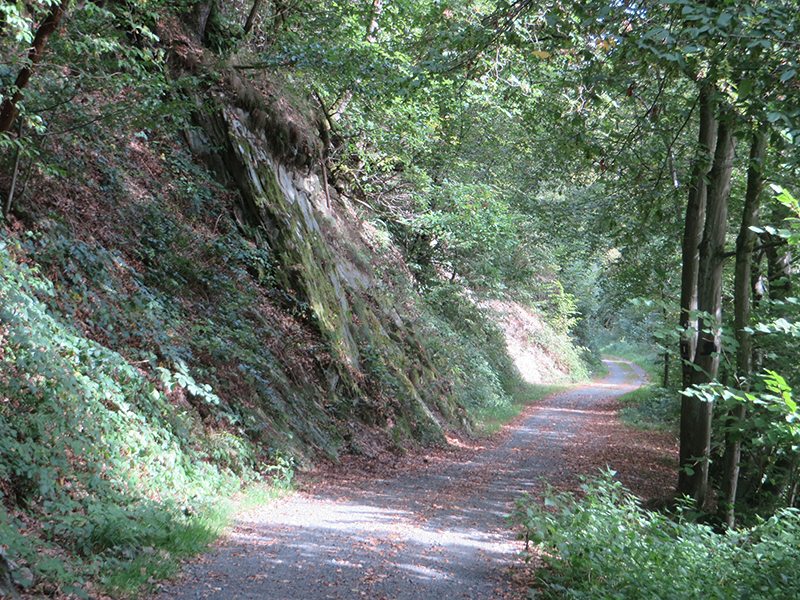 Hier steht ein Bild mit dem Titel: Endlich Seitenwechsel: der Westerwaldsteig am linken Ufer der Nister (Foto: Hans-Joachim Schneider)
