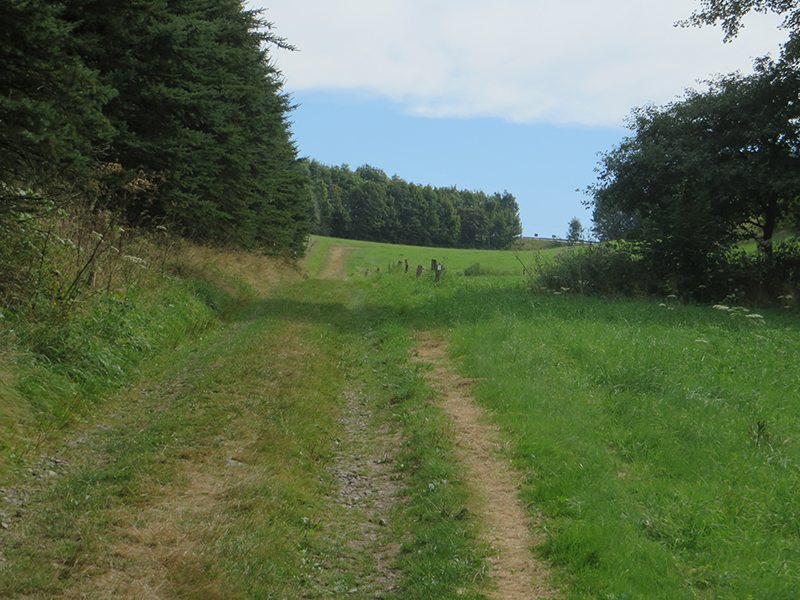 Hier steht ein Bild mit dem Titel: Aus dem Tal wieder rauf auf die Höhe (ich verkneif mir das jetz mal mit: Oh, du schöner Westerwald ... (Foto: Hans-Joachim Schneider)