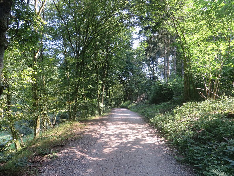 Hier steht ein Bild mit dem Titel: Wer an der Daubisberger Mühle auf die andere Seite des Ehrbaches wechselt, läuft auf diesem Weg Richtung Ehrbachklamm (Foto: Hans-Joachim Schneider)