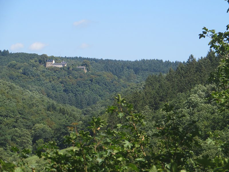Hier steht ein Bild mit dem Titel: Kurz vor dem Abstieg zur Ehrbachklamm öffnet sich der Blick auf Schloss Schöneck (Foto: Hans-Joachim Schneider)