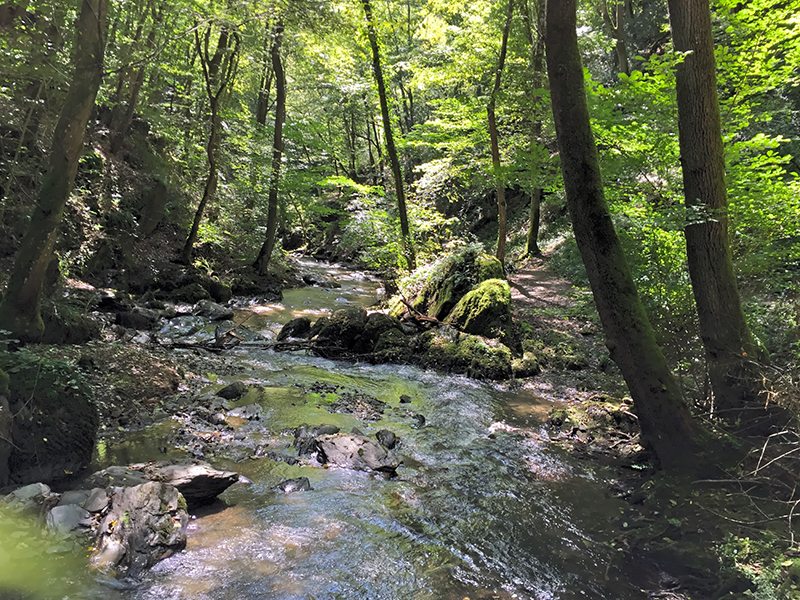 Hier steht ein Bild mit dem Ttiel: Die ganze Schönheit der Ehrbachklamm erschließt sich nur dem, der sich ganz in Ruhe darauf einlässt (Foto: Hans-Joachim Schneider)