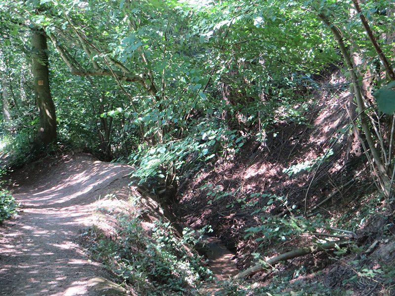Hier steht ein Bild mit dem Titel: Von der Kapelle im Sonnenwinkel geht es noch einmal durch einen grünen Tunnel bis Brodenbach (Foto: Hans-Joachim Schneider)