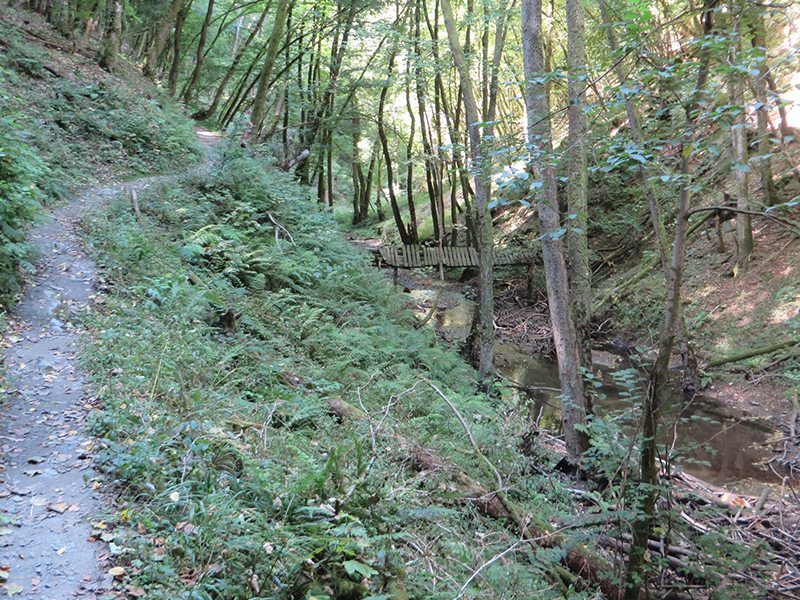 Hier steht ein Bild mit dem Titel: Mal auf schmalem Steig, mal auf breiterem Weg, nur nie langweilig ist die Tour durch das Endert-Tal (Foto: Hans-Joachim Schneider)