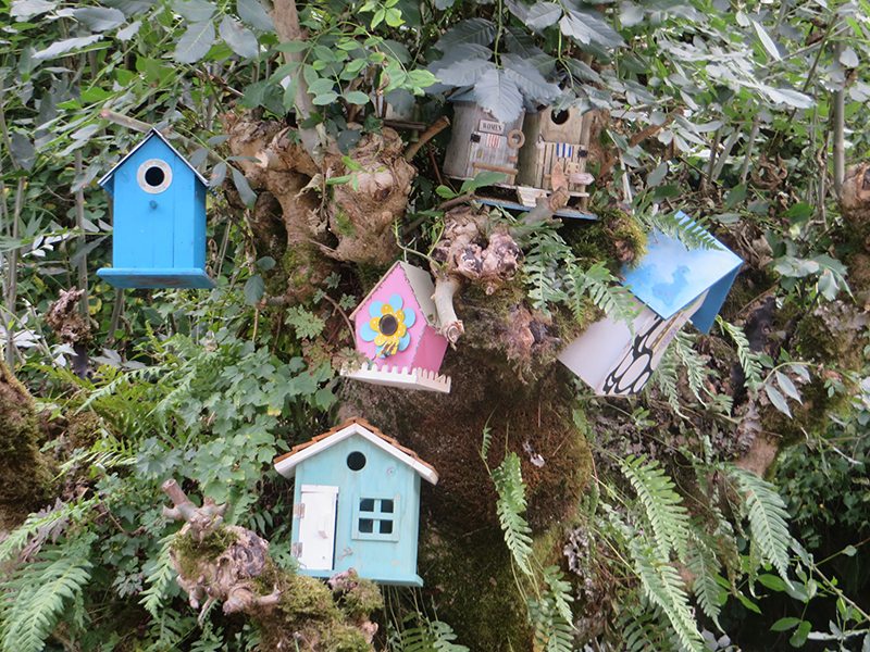 Hier steht ein Bild mit dem Titel: Bunte Vielfalt: der Vogelhäuschenbaum beim Hotel Weißmühle (Foto: Hans-Joachim Schneider)