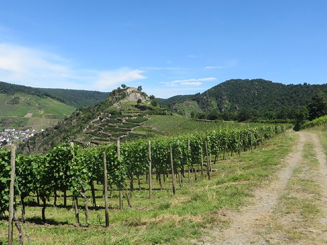 Hier steht ein Bild mit dem Titel: Kaum tritt der Weg aus dem Wald heraus, liegt die Ruine der Saffenburg vor uns (Foto: Hans-Joachim Schneider)