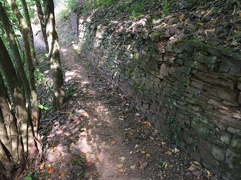Pfad, alte Weinbergsmauern, Gebüsch, Sonne, Schatten, Laub