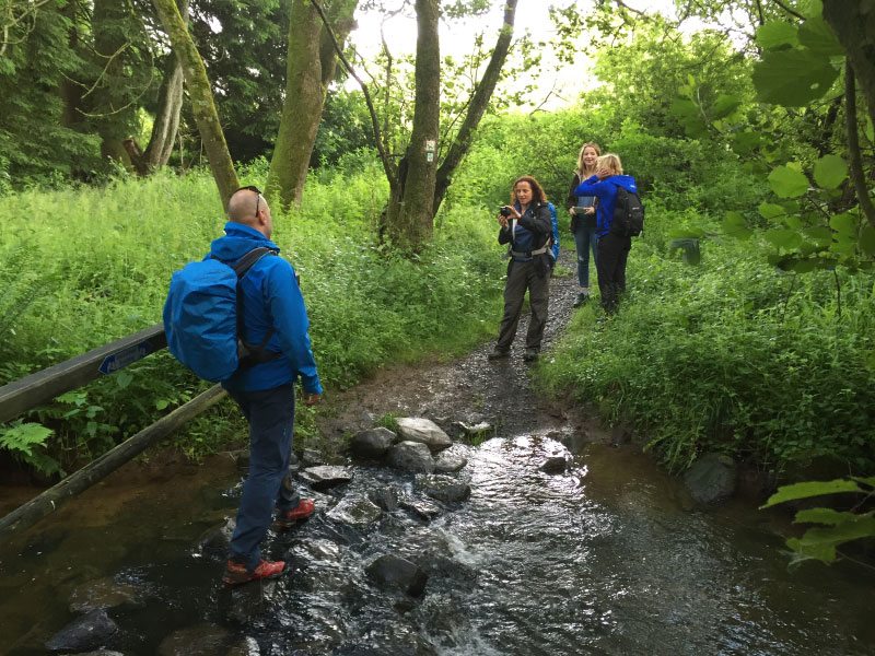 Wandermarathon, Wandergruppe, Wald, Bach, Furt, Menschen, Wanderer