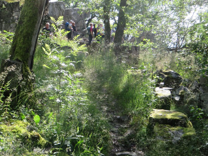 Felsen, Natur, Bäume, Büsche, Grün, Teilnehmer Wandermarathon,