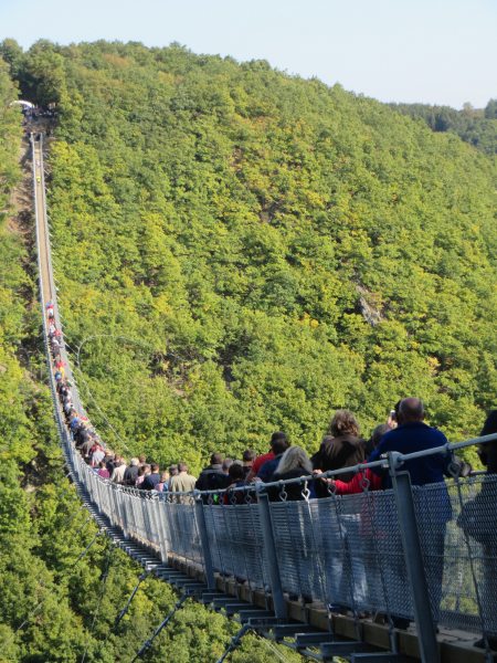 Hunsrück, Hängeseilbrücke, Geierlay, Eröffnung, Sonnenschein, Wandern, Saar-Hunsrück-Steig, Mörsdorf, Brückenschwankungen
