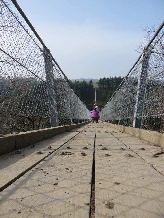 Hunsrück, Hängeseilbrücke, Geierlay, Eröffnung, Sonnenschein, Wandern, Saar-Hunsrück-Steig, Mörsdorf, Brückenschwankungen