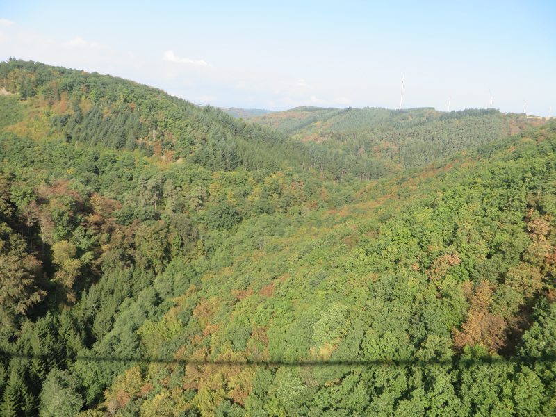 Hunsrück, Hängeseilbrücke, Geierlay, Eröffnung, Sonnenschein, Wandern, Saar-Hunsrück-Steig, Mörsdorf, Brückenschwankungen