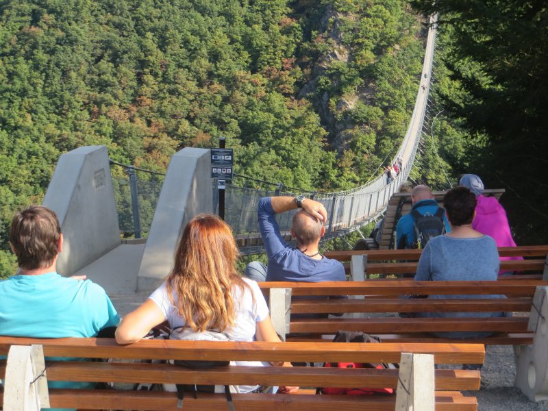 Hunsrück, Hängeseilbrücke, Geierlay, Eröffnung, Sonnenschein, Wandern, Saar-Hunsrück-Steig, Mörsdorf, Brückenschwankungen, Bänke, Kino, Panorama