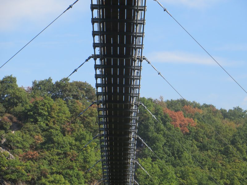 Hunsrück, Hängeseilbrücke, Geierlay, Eröffnung, Sonnenschein, Wandern, Saar-Hunsrück-Steig, Mörsdorf, Sicht von unten auf die Geierlay-Hängebrücke