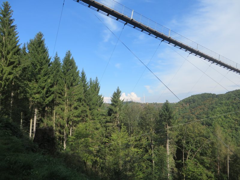 Hunsrück, Hängeseilbrücke, Geierlay, Eröffnung, Sonnenschein, Wandern, Saar-Hunsrück-Steig, Mörsdorf, Brückenschwankungen