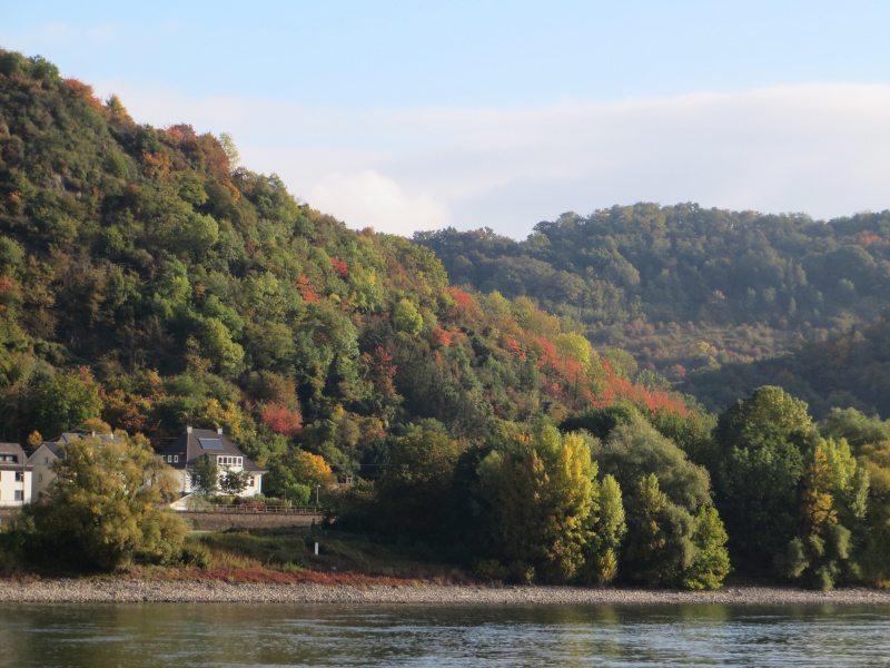 Das Rheinufer zwischen Erpel und Linz ist dünn besiedelt, die Häuser verstecken sich im herbstlichen Bunt (Foto: Hans-Joachim Schneider)