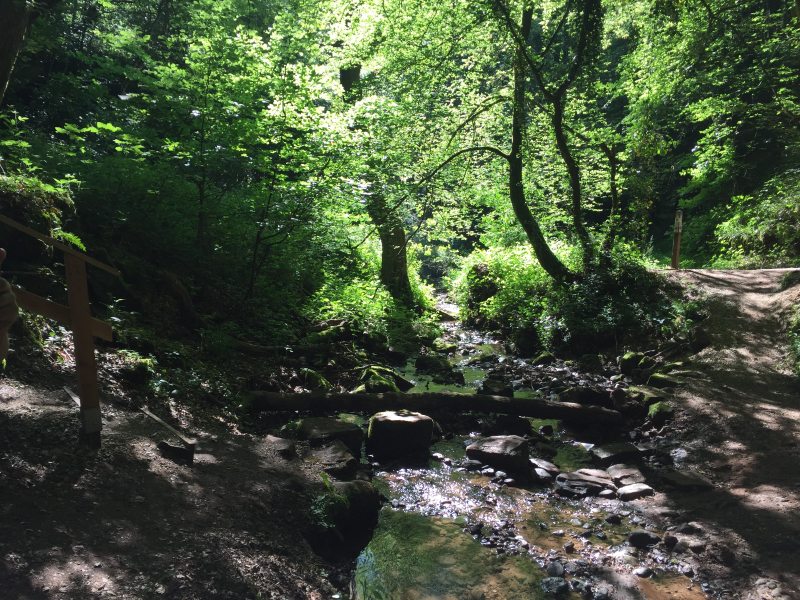 Butzerbach, Römerpfad, Taleinschnitt, Wald, Schatten