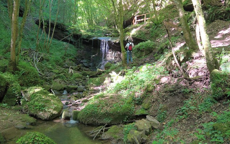 Vor Kurzen war der Römerpfad durch das Butzerbachtal noch wegen Hochwasserschäden gesperrt.