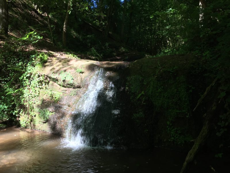 Der Butzerbach hat eine ganze Reihe von Wasserfällen vorzuweisen. In den darunter liegenden Gumpen sammelt sich das Wasser.