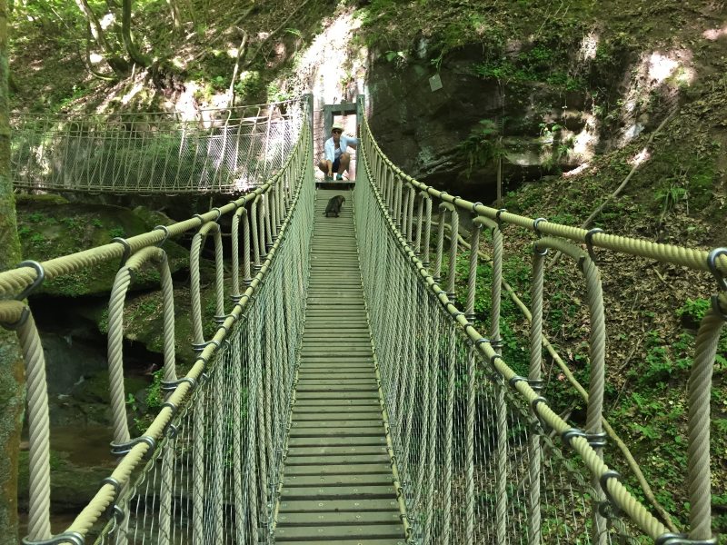 Über mehrere Hängebrücken und Treppen führt der Römerpfad durch das Butzerbachtal und wechselt dabei immer mal die Bachseite. Für die Dackeldame Jette jedesmal eine Möglichkeit, ihren Mut zu bewesisen.