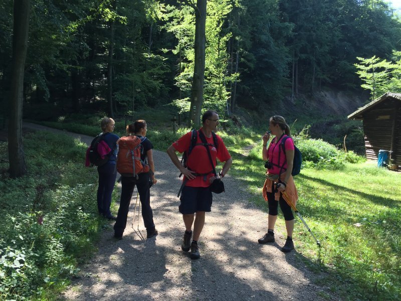 Das erste Mal wieder einen ordentlichen Waldweg unter den Füßen. Gleich steigt die Stimmung wieder.