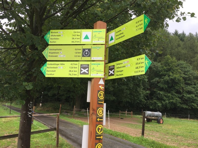 Wegweiser, Megamarsch-Strecke, Wiese, Wald, Regen