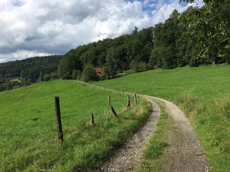 Weg, Wiesen, Wolken, das letzte Wegstück kurz vor Ober-Hambach